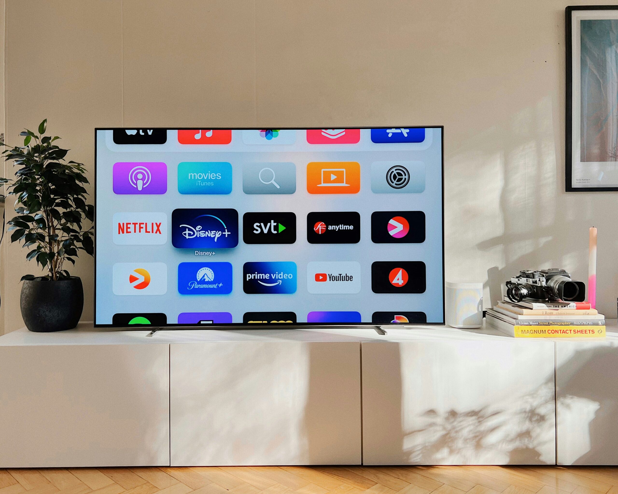 TV in a living room