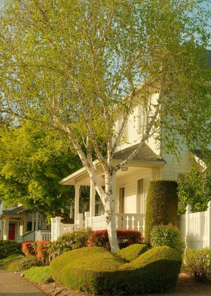 American suburb house