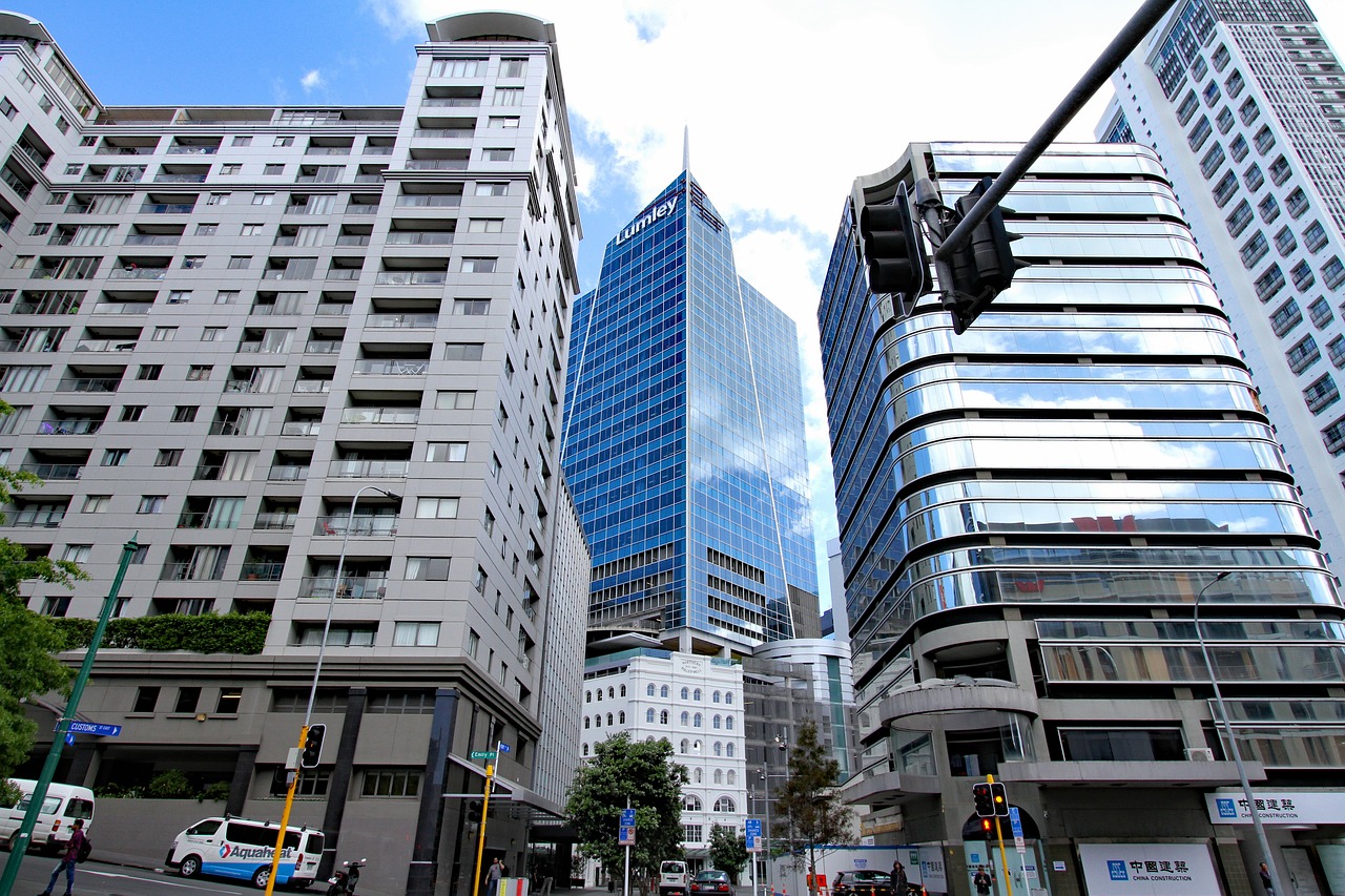 New Zealand volunteer programmes for newcomers