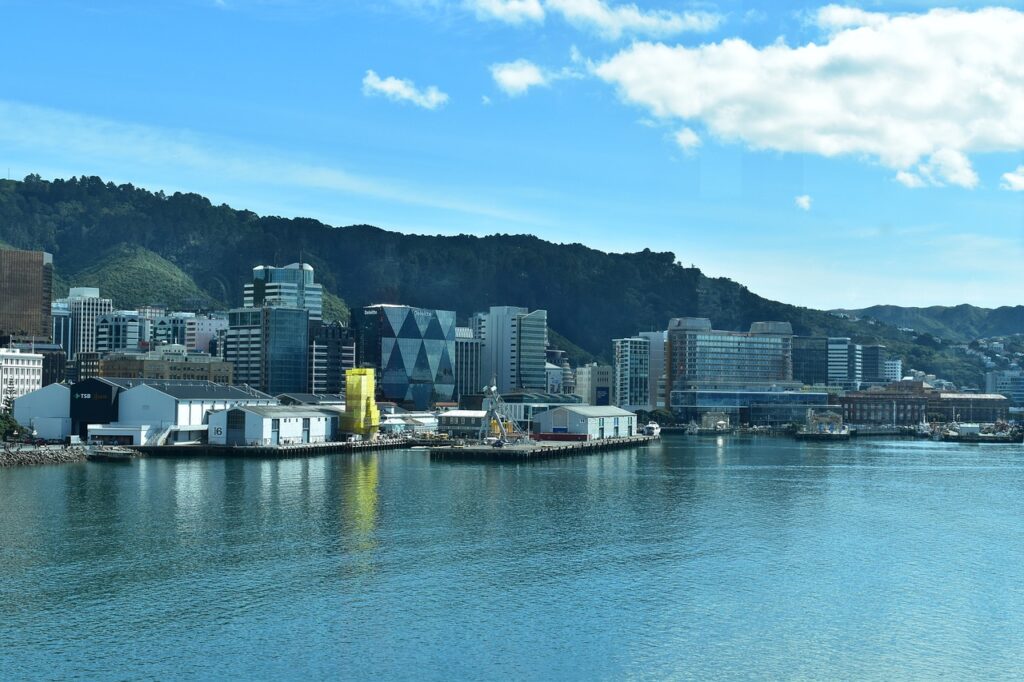 first 90 days in New Zealand for international students