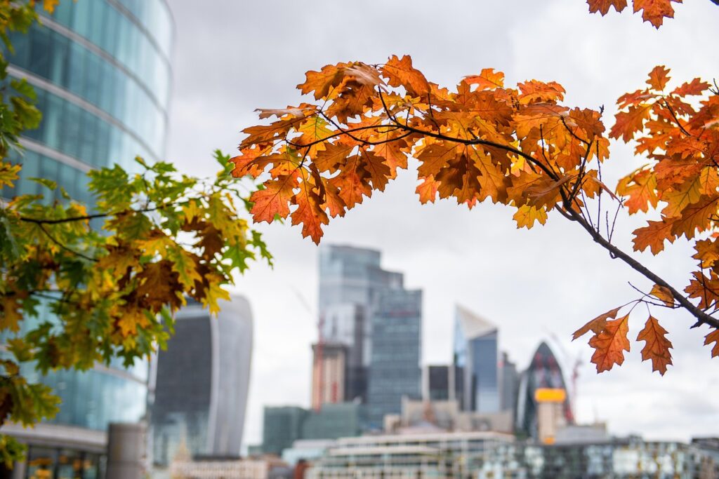 careers that qualify for UK visa