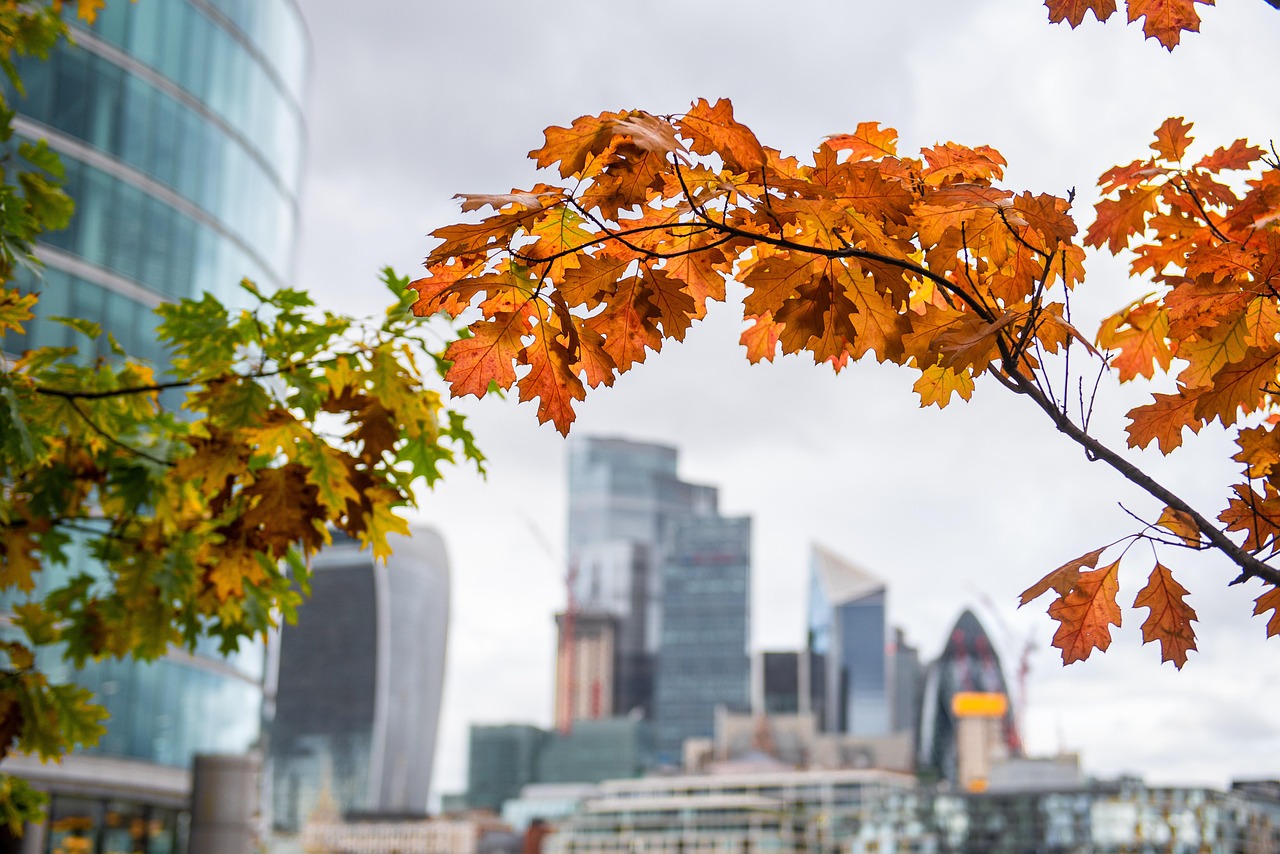 careers that qualify for UK visa