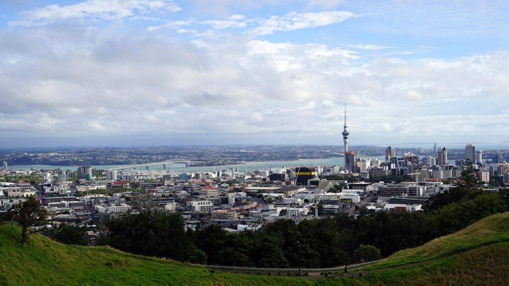 Can I apply again after my New Zealand visa is declined