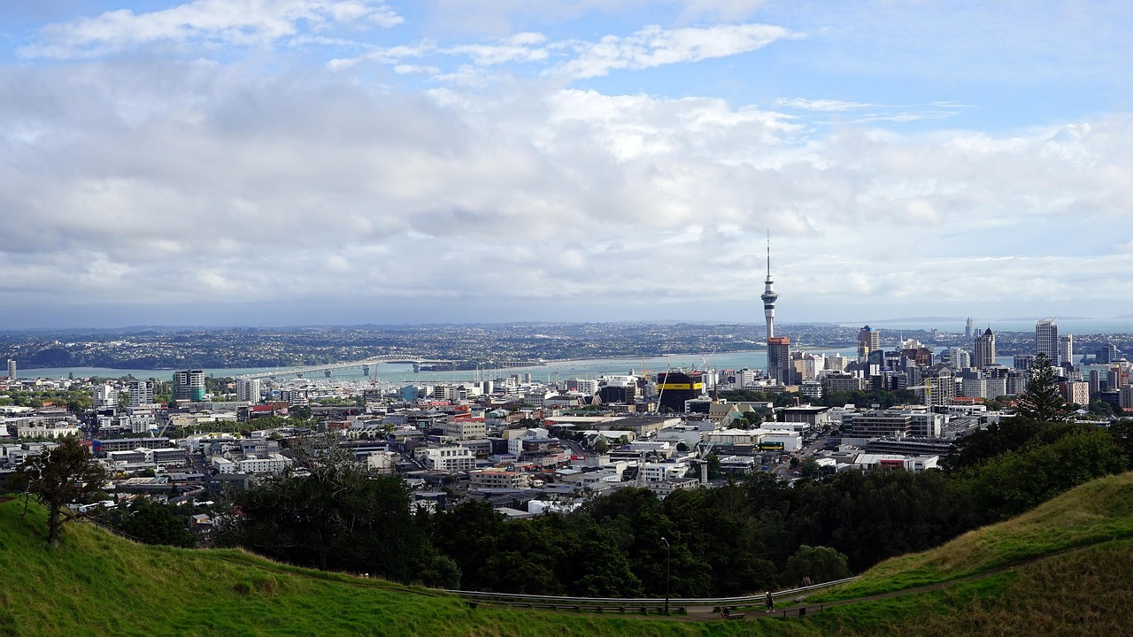 Can I apply again after my New Zealand visa is declined