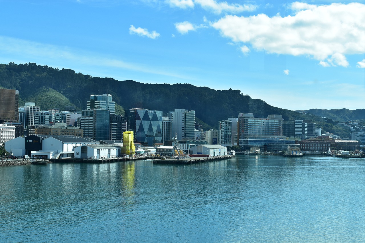 best digital detox retreats in New Zealand